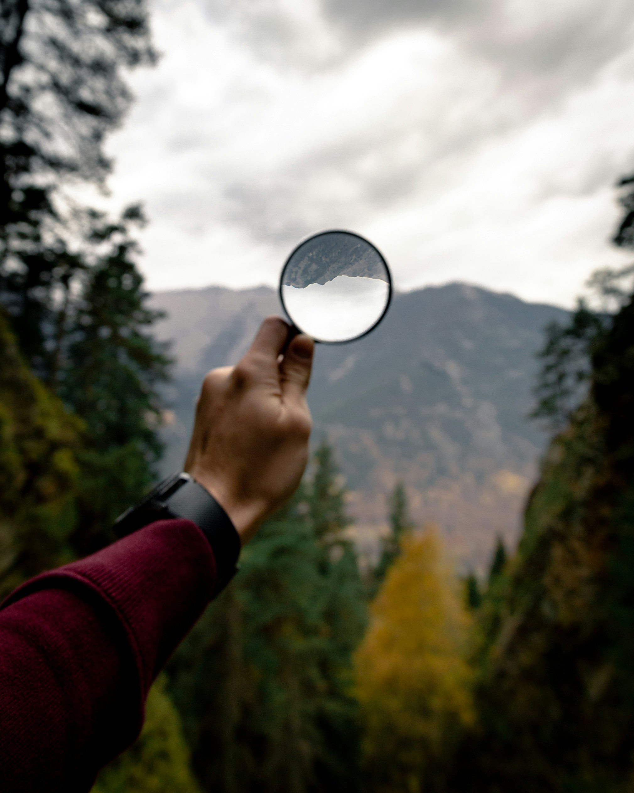 kirill-pershin-0cbWeUyy9io-unsplash